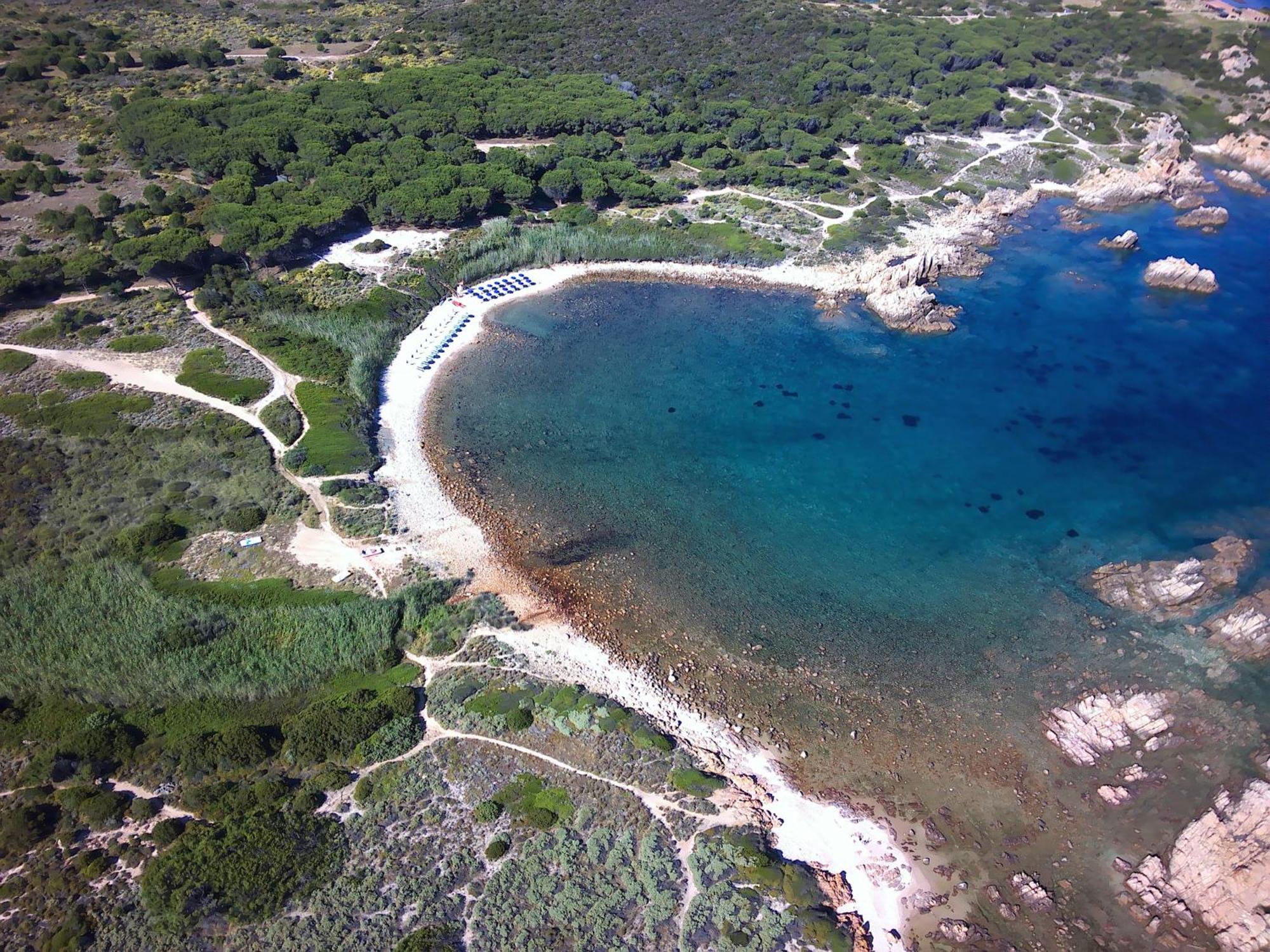 Gli Oleandri Di Calarossa - 5M Walk To The Beach Isola Rossa Exterior photo